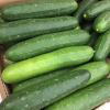 cucumbers sold in 26 states recalled over salmonella concern walmart wegmans included in recall 93duzcyrreki4zgnfes1 1